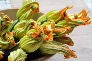 A magnificent bouquet of zucchini flowers
