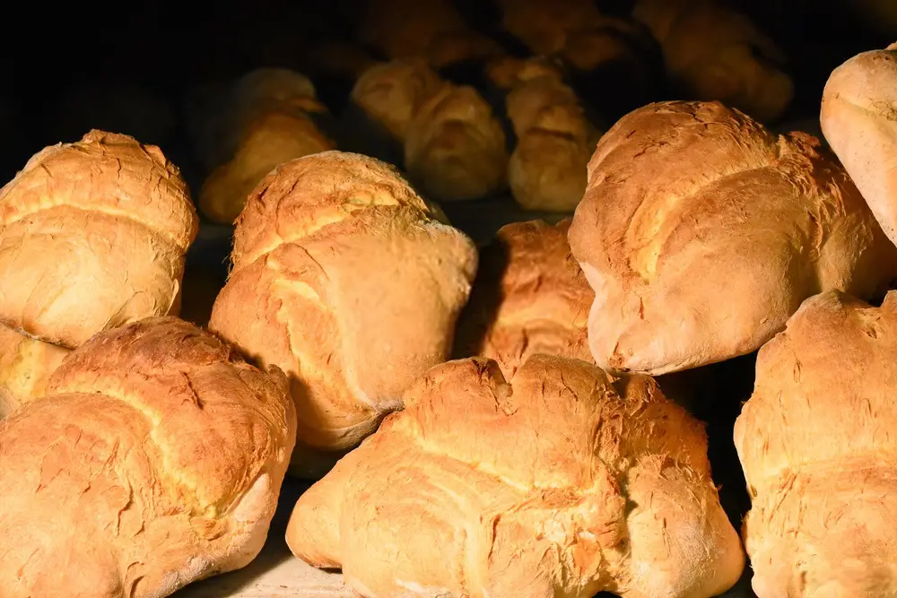 Matera Bread