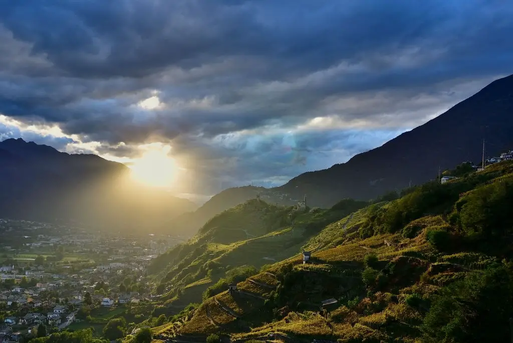 View of the vineyard over Sondrio town, lightened by the sunset beams.