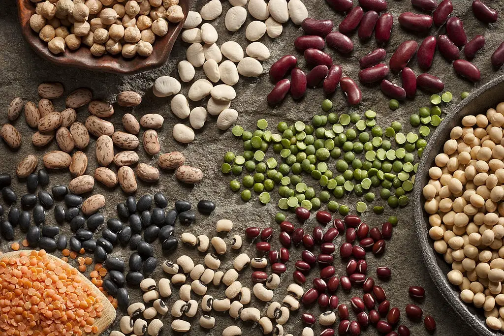 Italian Organic Legumes