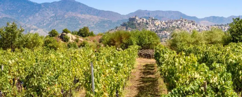 Castiglione of sicily on background