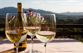 Italian White Wines