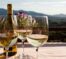 Italian White Wines