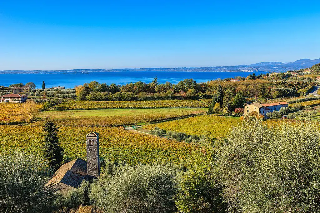 Bordering Lake Garda, Bardolino vineyards.
