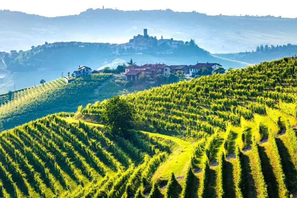 Barolo wine region Langhe Piedemont Italy